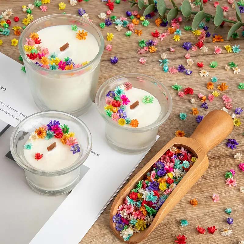 Balmumu Kalıplama için Karışık - Candle Supplies Bulk incelemesi ve fiyatı